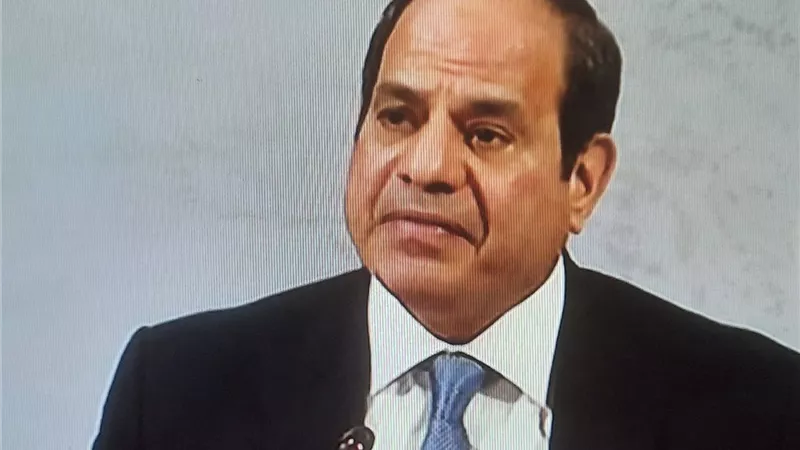الرئيس السيسي: أشيد بالدور القيادي لألمانيا في مواجهة تغير المناخ