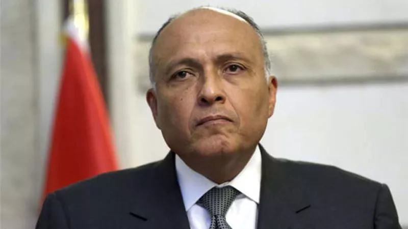 وزير الخارجية يجتمع مع المبعوث الرئاسى الأمريكي للمناخ ببرلين