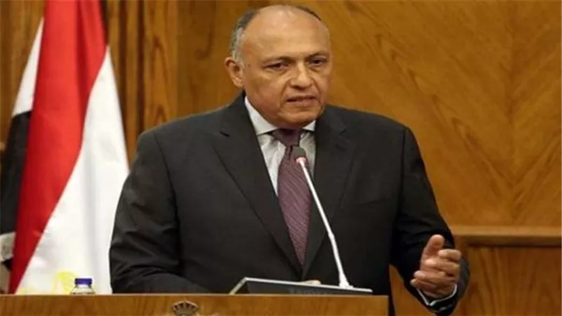 شكري يؤكد أهمية الحاجة لالتزام سياسي دولي لتحقيق تقدم في التعامل مع تغير المناخ