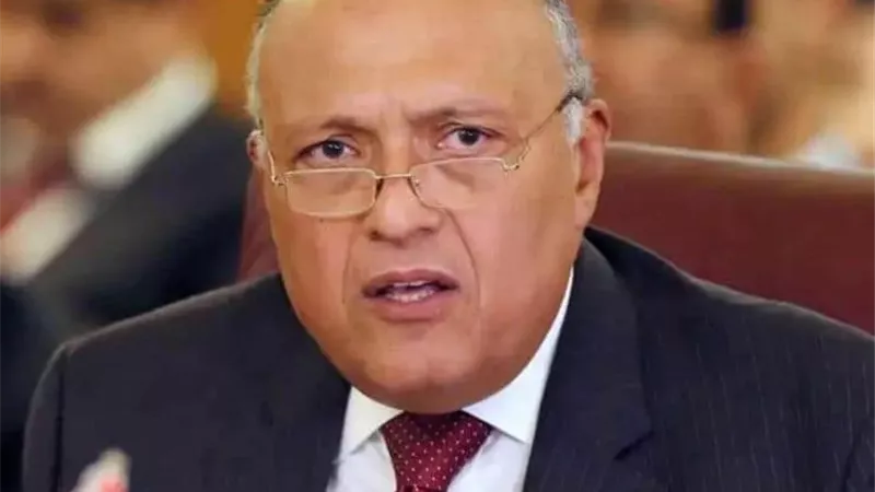 شكري يشيد خلال لقاء مع جون كيري بمستوى التعاون بين الجانبين في موضوعات تغير المناخ