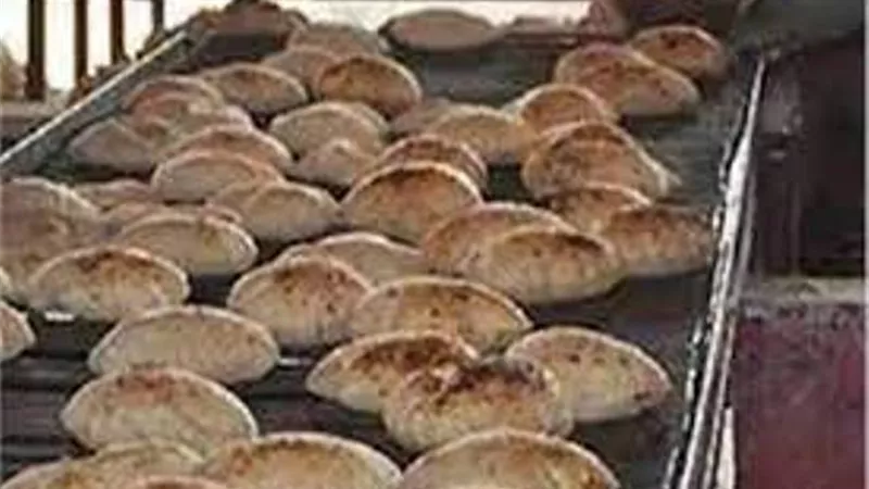 تموين الإسكندرية : الحبس وغرامة 20 ألف جنيه لأصحاب المخابز المتلاعبين بالأوزان .. فيديو