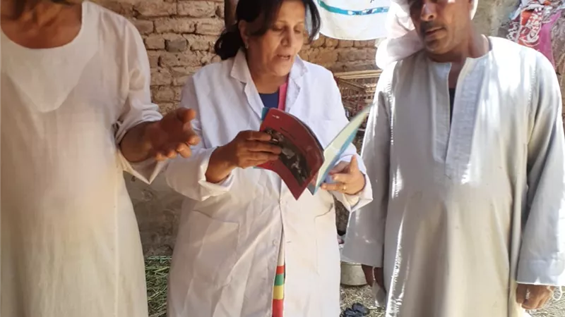 بيطرى الأقصر يواصل أعمال توعية المربين وتحصين المواشى ضد الحمى القلاعية والوادى المتصدع