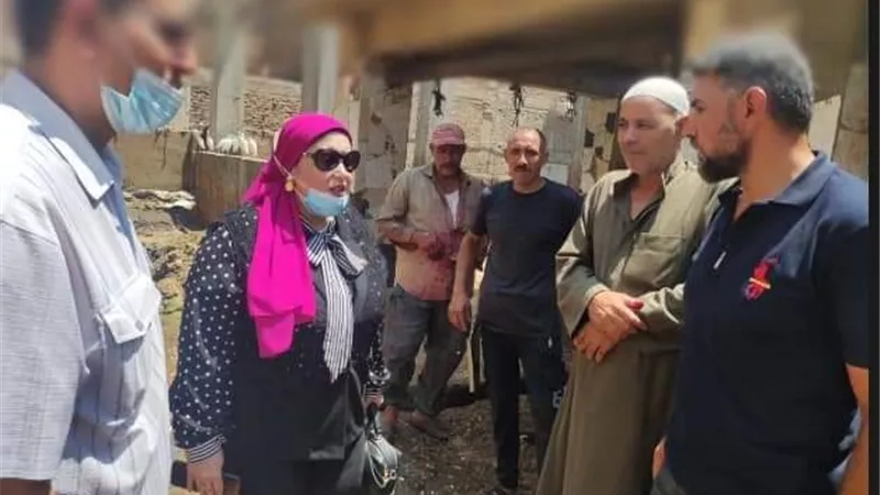 صحة المنوفية: بدء أعمال المسح الميداني الشامل لحمى الوادي المتصدع