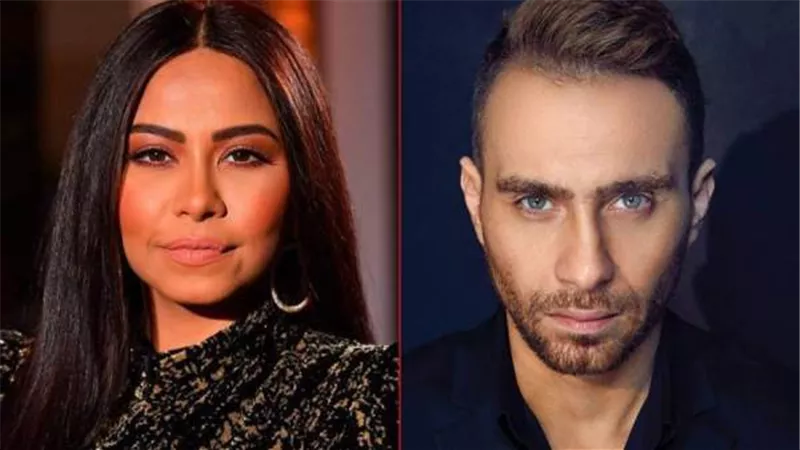 بعد أزمة شيرين وحسام حبيب.. 