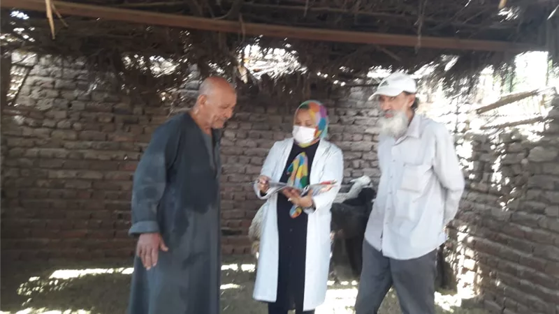 تحصين ١٢١٤٤ حيوان وعقد ١٥٨ ندوة إرشادية خلال حملات الطب البيطرى بالأقصر