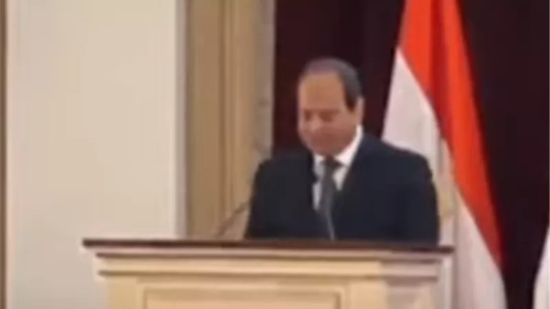 السيسى: مصر سعت للتوصل لرؤية مشتركة مع السودان واثيوبيا بشأن سد النهضة