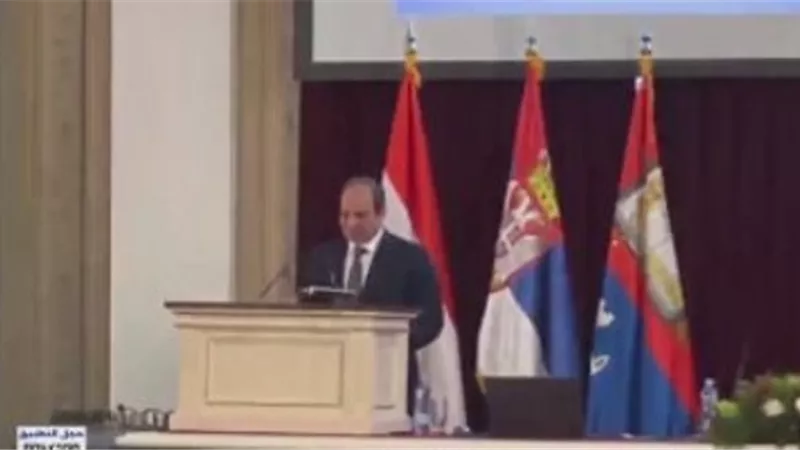 السيسى: مصر تدعم جميع الجهود الرامية لحفظ السلم والأمن الدوليين