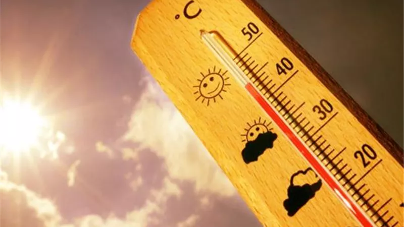 كيف تتسبب موجار الحر الشديدة فى الوفاة؟ طبيب يكشف