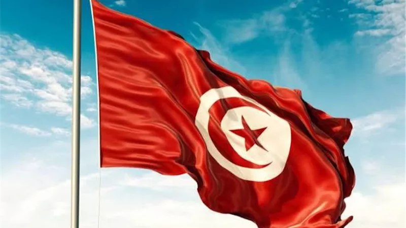 بدء الاستفتاء على الدستور التونسي بالقاهرة والاسكندرية اليوم