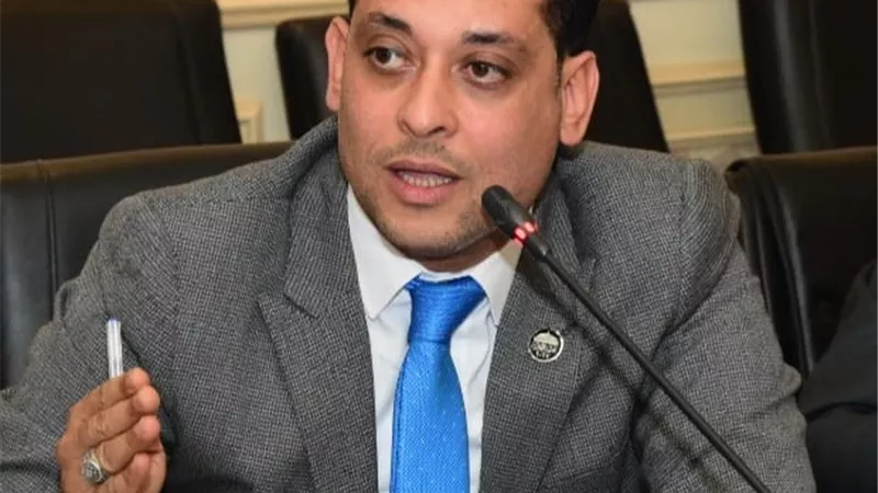 صناعة البرلمان: دعوة السيسي لرجال الأعمال الصرب والأوروبيين للاستثمار في مصر يؤكد توافر الفرص بها