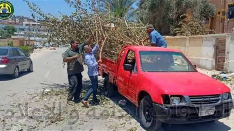 تكثيف أعمال النظافة و الإنارة بحيِّ ثالث الإسماعيلية..صور