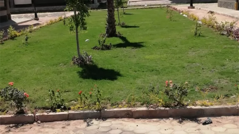 جهاز حدائق اكتوبر: تشجير المنطقة بين بوابة دار مصر الخلفيه والزهور سيتى