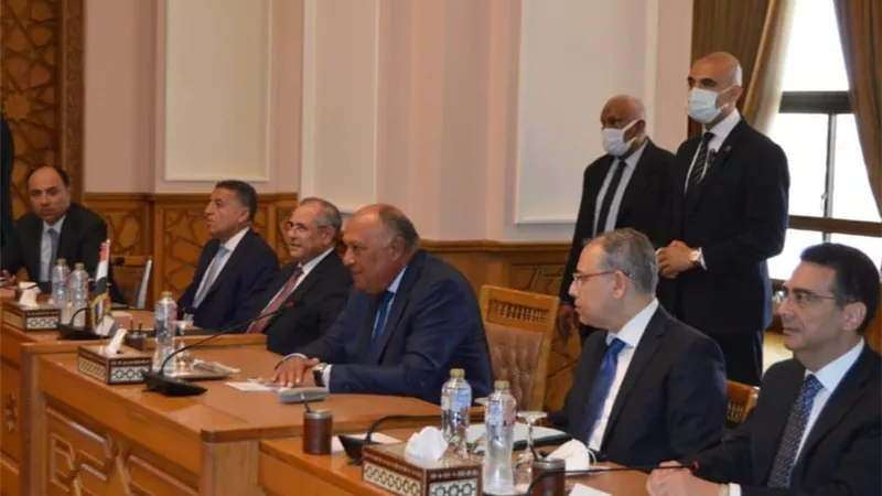 وزير الخارجية: الدول الإفريقية ذات سيادة.. وتنتهج سياستها وفقا لما تراه في صالح شعوبها