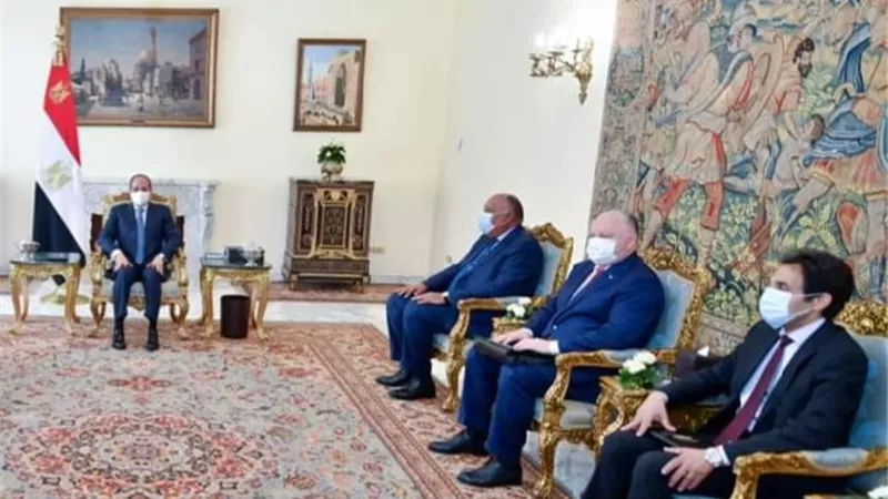 الرئيس السيسي يبحث مع روسيا التعاون في قطاعات توريد الحبوب والغذاء والبترول