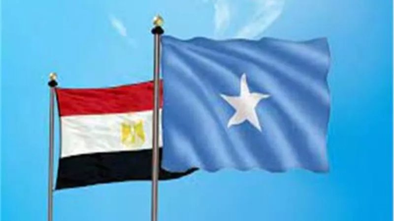 الإحصاء: 10,2% ارتفاعًا في قيمة الصادرات المصرية للصومال خلال عام 2021