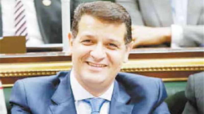 طارق رضوان: السلطة التشريعية بدأت اتخاذ خطوات للحاق بركب حماية تقنية المعلومات