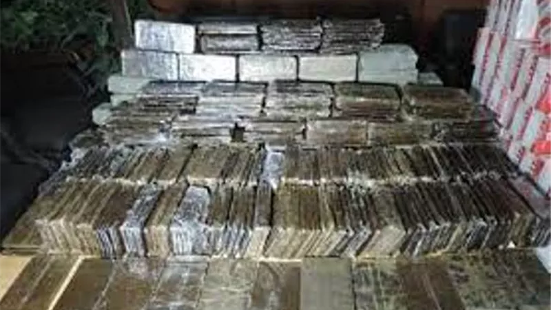 ضبط 15 قضية مخدرات وتنفيذ 7134 حكما قضائيا متنوعا خلال 24 ساعة بالقليوبية