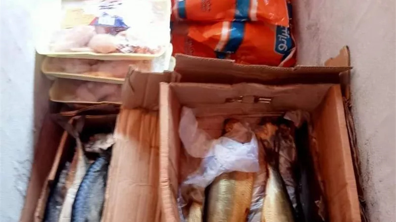 بيطرى البحرالأحمر يضبط لحوم وأسماك غير صالحة للاستخدام الأدمى بالغردقة