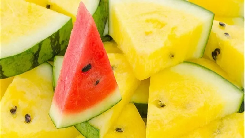 بعد اجتياحه أسواق الفاكهة.. ما الفرق بين البطيخ الأصفر والأحمر؟؟