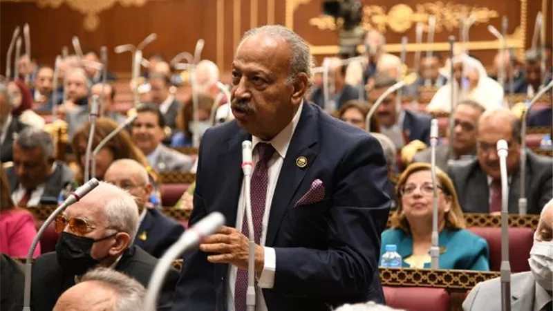 نائب: حزمة اجراءات الرئيس السيسي بتكلفة 11 مليار جنيه تستهدف حماية محدودي الدخل والأسر الأكثر احتياجا