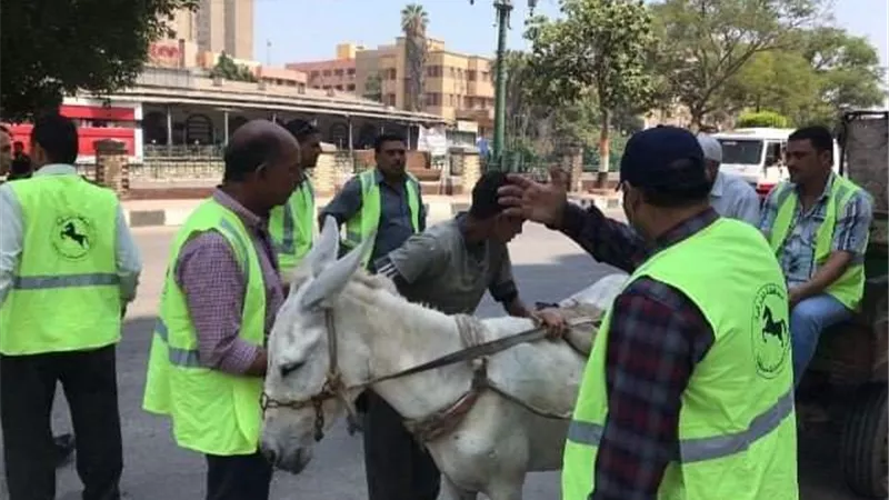 نشاط مُكثف لوحدة تحقيق الإنضباط بإدارة المتابعة الميدانية بالشرقية