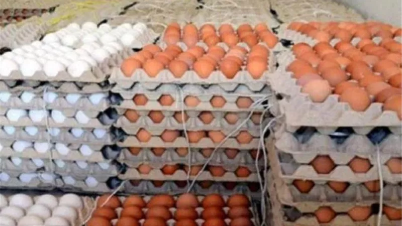طرح كميات من البيض بسعر 58 جنيها للطبق الأبيض و60 للأحمر.. تعرف على أماكن البيع