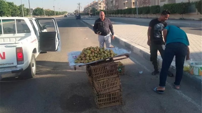 بشارة: جهاز الشروق يحرر 18 محضر ويضبط 6 مركبات داخل أحياء المدينة.. بالصور
