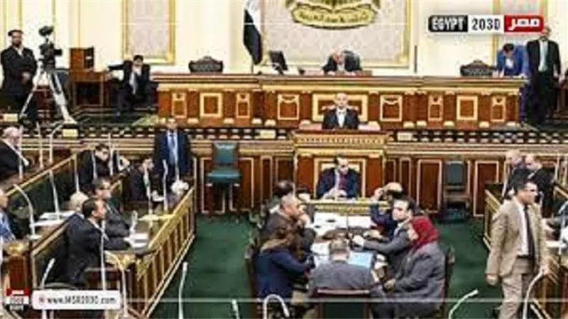 طلب احاطة عاجل .. تحرك برلمانى لمواجهة خلط البرجر واللانشون بلحوم الكلاب والحمير
