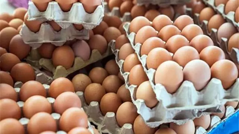 جهاز حماية المنافسة يقرر تحريك دعوى جنائية ضد ٤ من سماسرة البيض