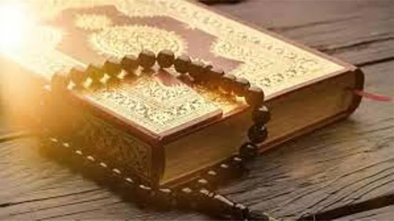 الحُكم والحِكمة