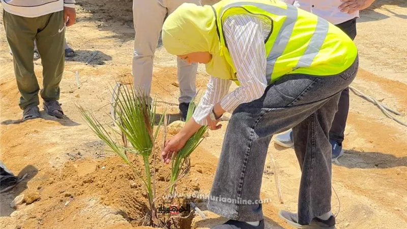 رئيس مجلس إدارة شركة المياه تتفقد أعمال الزراعات بالغابة الشجرية ببياض