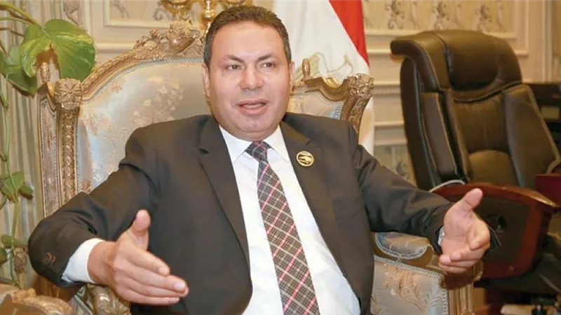 الحصرى: زراعة مليون و100 ألف فدان بالأرز في مصر.. فيديو