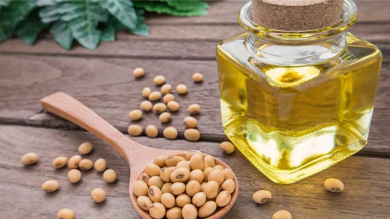 500 جنيه زيادة في أسعار زيت الصويا المستورد