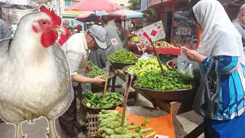أسعار الخضار والفراخ.. في النازل