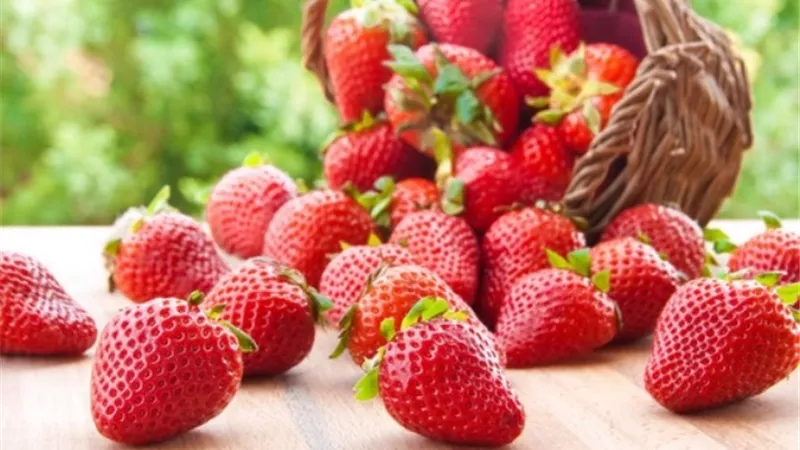 خاصة لكبار السن .. فوائد مذهلة للفراولة
