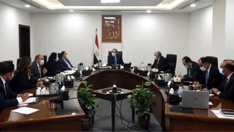 رئيس الوزراء: توجيهات من الرئيس ببدأ الدراسات الخاصة بصياغة أسعار توريد المحاصيل الزراعية للموسم الجديد
