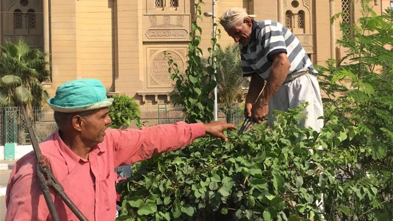 رفع كفاءة وتجميل ممشى الكورنيش أمام مسجد الفتح بحي ثان الزقازيق