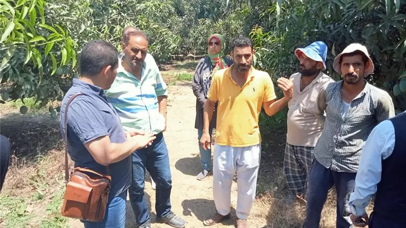 جامعه القناة توجه قافلة شاملة لقرية أبو خليفة بالإسماعيلية..صور