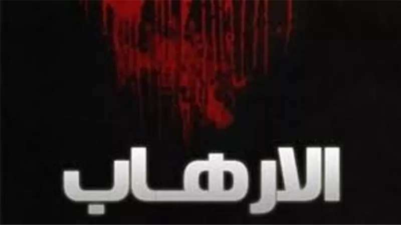 الافتاء :الإرهاب وليد العقليات الفاسدة وليس الأديان