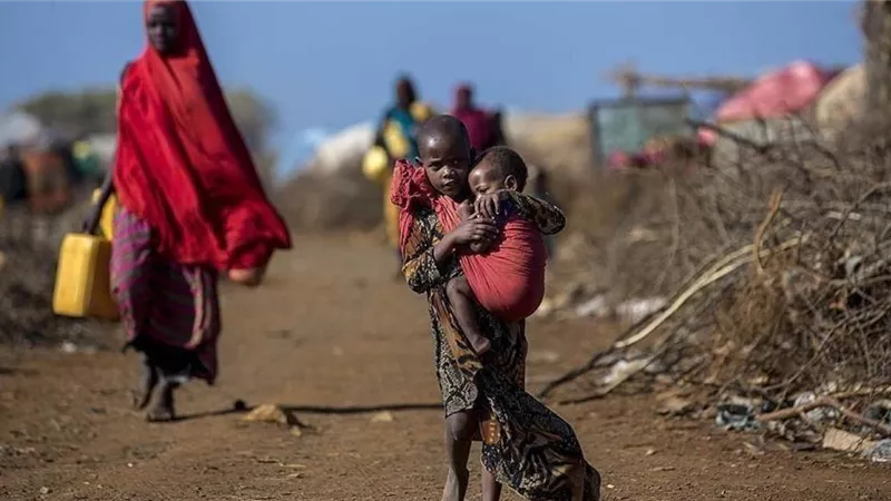 الصحة العالمية: أكثر من 80 مليون شخص بالقرن الإفريقى يواجهون انعدام الأمن الغذائي