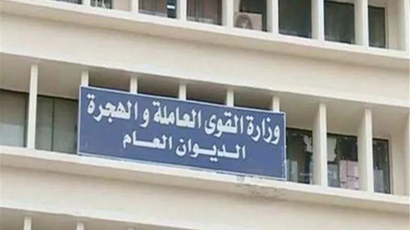 قوى عاملة المنيا تبدأ خطتها لتدريب الشباب وتأهيلهم لسوق العمل