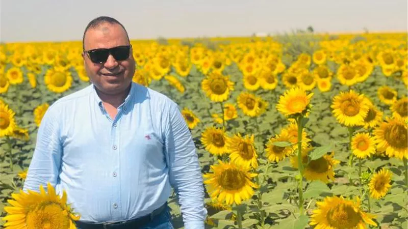 وكيل وزارة الزراعة بالفيوم : تحديد سعر طن دوار الشمس الزيتي للمزارعين