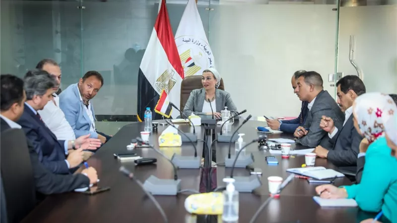 زراعة 5 مليون شجرة كمتنفس بالمدن الجديدة بالجيزة