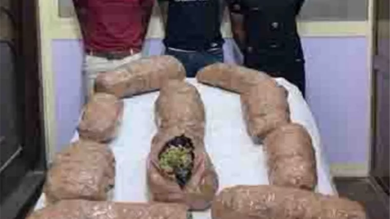بينهم سيدة.. سقوط 11 شخصا من معلمين الصنف خلال حملة بالمحافظات