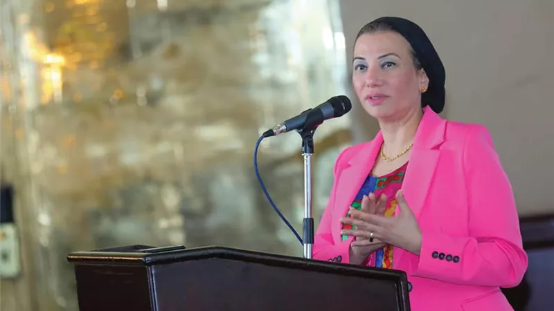 مبادرة «بلدنا تستضيف قمة المناخ الـ27» تنظم ورشة عمل لتعزيز قدرات الصحفيين والإعلاميين