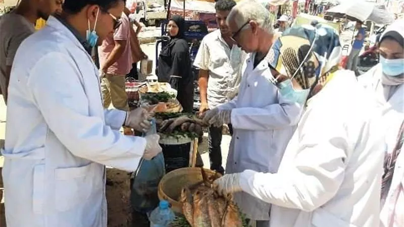 بيطري الشرقية يُحرر 199 محضر مخالفة ويضبط 3 اطنان لحوم ودجاج وأسماك فاسدة