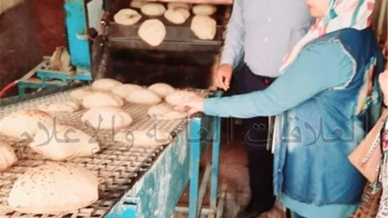 تحرير 91 محضرا متنوعا في حملة تموينية بالإسماعيلية