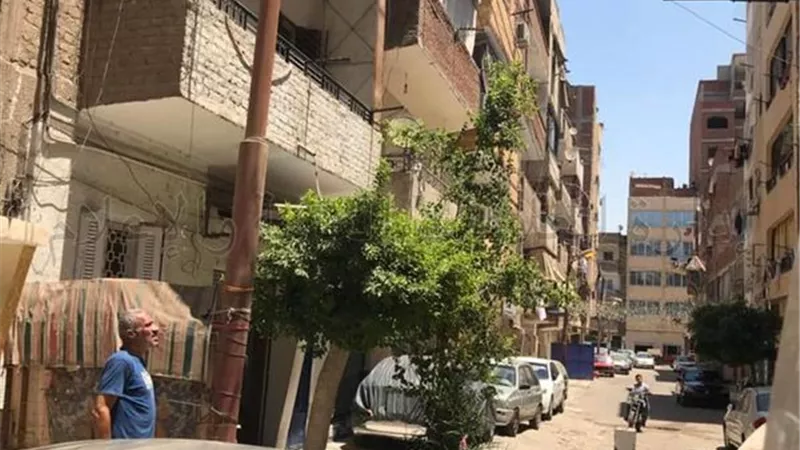 رفع كفاءة الإنارة بحي ثان الإسماعيلية