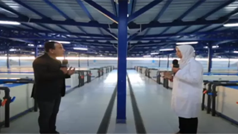 فيديو.. مفرح الكيلو 21 يوفر 20 % من احتياجات مزارع الأسماك