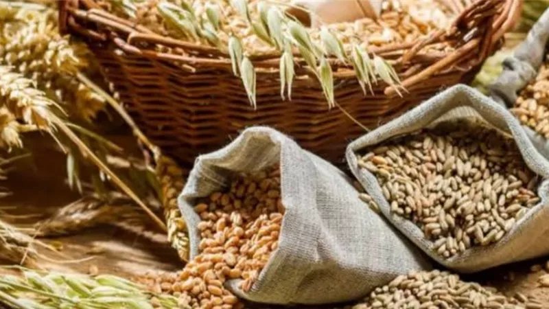 أوكرانيا تطالب بتوسيع اتفاق حبوب البحر الأسود ليشمل منتجات أخرى